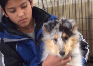 Bandit and Matthew